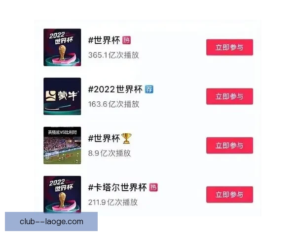 2026世界杯官方指定供应商推出赛事餐饮数字化创新方案提升观赛体验